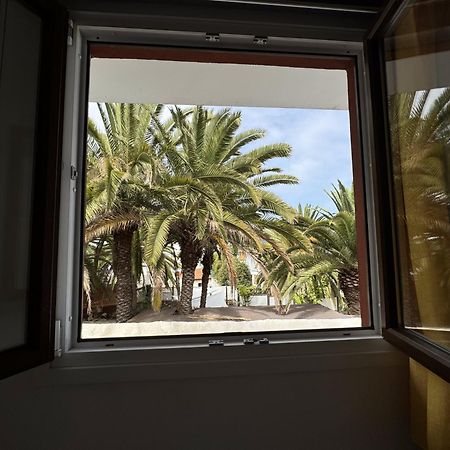 San Juan de la Rambla Phoenix Canariensis מראה חיצוני תמונה