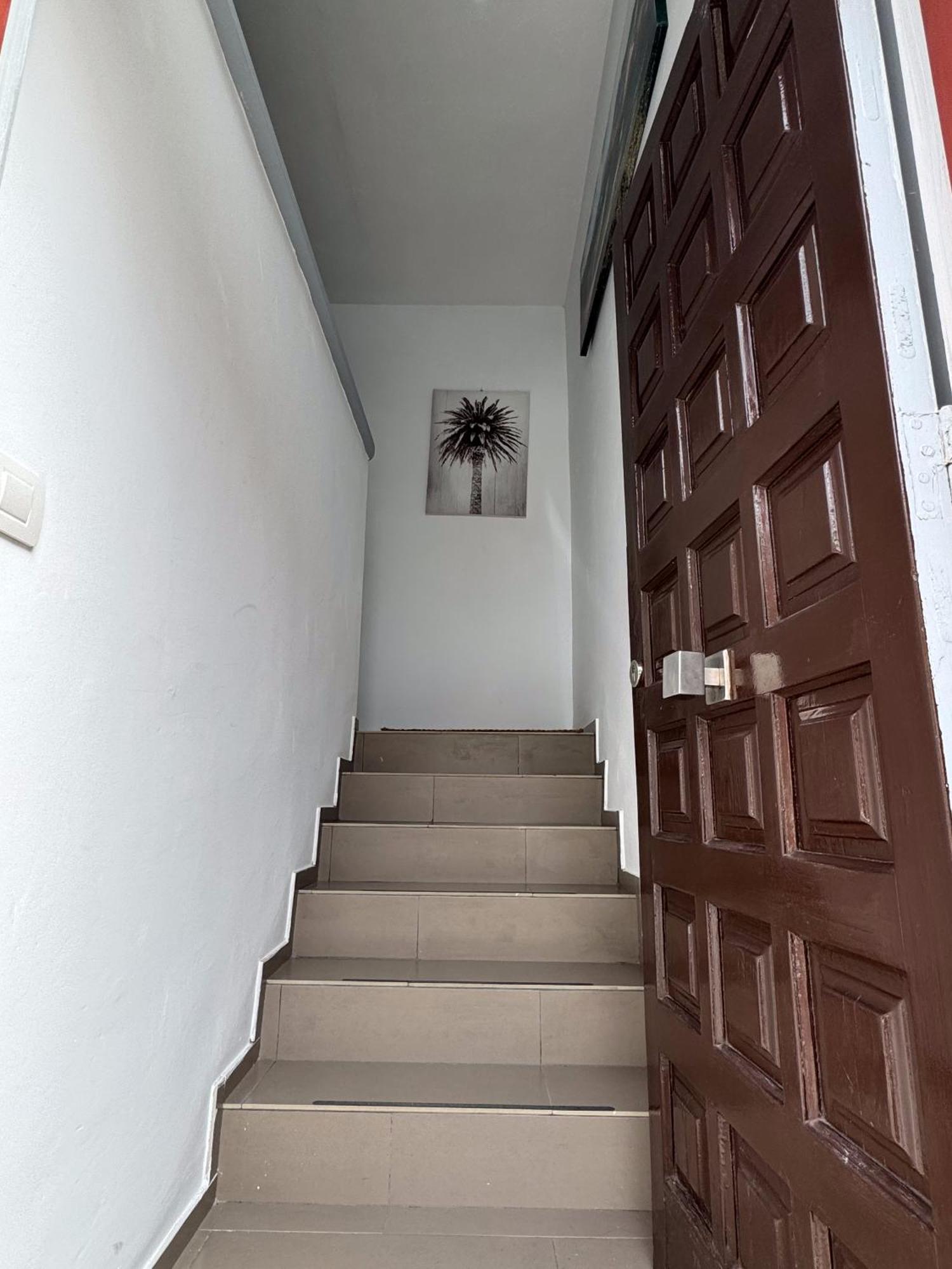 San Juan de la Rambla Phoenix Canariensis מראה חיצוני תמונה
