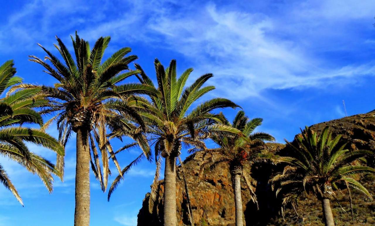 San Juan de la Rambla Phoenix Canariensis מראה חיצוני תמונה
